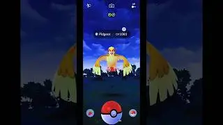 Catch Pidgeot in Pokemon GO Indonesia #Shorts #Pidgeot #PokemonGOGameplay