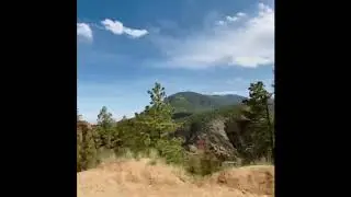 Gold Camp Road