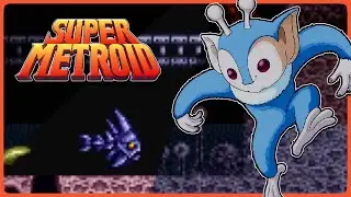 The World&rsquo;s Saddest Fish | Super Metroid (11)