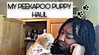 MY PEEKAPOO PUPPY HAUL 🐶