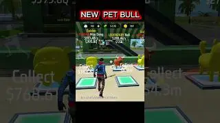 BIG UPDATE CONFIRM! 😱 4 NEW PETS COMING | Guardian Lion 2 Feb | Steal A Pet New update Free Fire