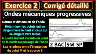 Ex2: Ondes mécaniques progressives (exercice important) || 2BAC BIOF