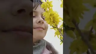 Worst places to live with allergies
