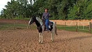 mãos nas rédeas