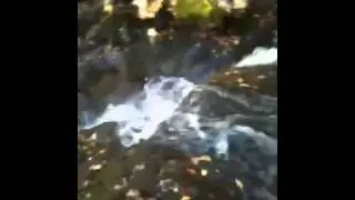 Caribou Trail waterfall