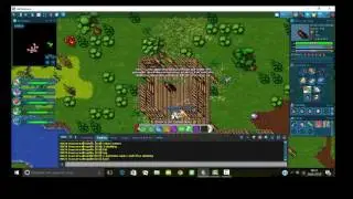 Respawn de slanking e Shiftry OT Pokemon