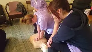 Care Staff training