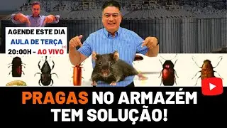 AULA #004 Saiba Como Controlar e Manejar as Técnicas para Evitar insetos no Armazém