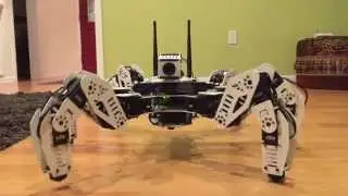 ROS Hexapod Robot called 