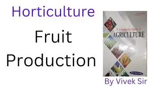 Fruit Production | Nem Raj Sunda Book