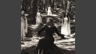 Woods