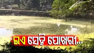 Pari Murder Case | SIT To Dry Up Jadupur Village Pond To Collect Evidence