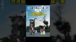 喵喵上将1~8 #猫meme #热血 #军事 #超爆小故事 #文荒推荐
