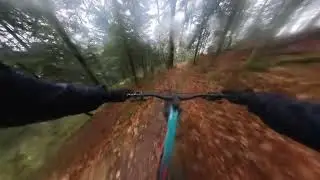 Vtt sauvage sous la pluie en forêt le 23 décembre 2025 QHD