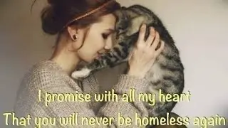 Sad Quotes | Animal Love | Animals Pain quotes | #shorts | Save Animals Save humanity | #animalpain