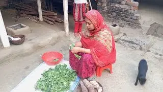 অসাধারণ স্বাদের মটরের শাক ভাজি | নিজের হাতে তোলা বাড়ির শুলাকচু মাছ দিয়ে গ্রামবাংলার রান্না #viral 