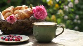 Winter Morning Jazz November Bossa Nova Piano & Lightly Coffee Jazz Background Music for Good Mood