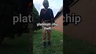 platinum chip theft