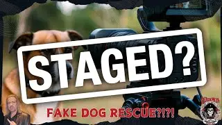 Fake News? Why the 