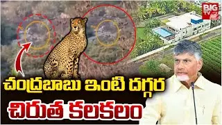 చిరుత కలకలం | Chiruta Hulchal in CM Chandrababu House | Leopard Tension in Naravaripalli | BIG TV