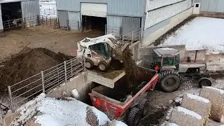 Замёрзший навоз в сарае, утренние дела и новая жизнь на ферме!