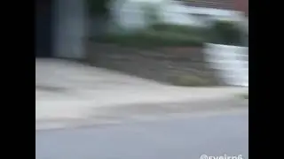 Trafficboyz in the city