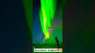 Sky is alive - Northern Lights - Finland, Norway, Sweden #shorts #northernlights #aurora #trending