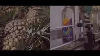 Pineapple Wine