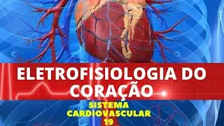 ELETROFISIOLOGIA DO CORAÇÃO - SISTEMA CARDIOVASCULAR 19