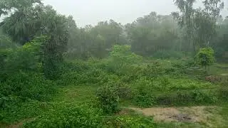 A beautiful rany day #beautifulnature #rainydays #barshakal