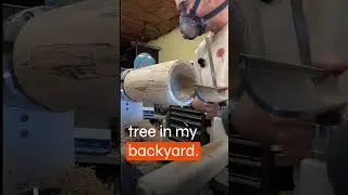 From My Backyard to the Lathe! Turning a Spalted Maple Koozie 🪵