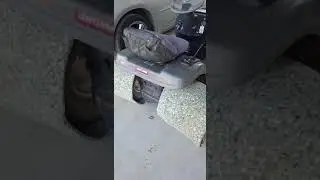 collecting goat heads using carpet padding