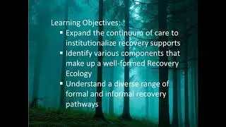 2019 4 23 Multiple Pathways for Recovery  20190423 1355 1