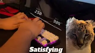 RAZER BLACKWIDOW TYPING!