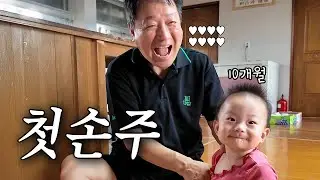 어디서 이런게 똑 떨어졌다냐. 아이고 이쁜 내손주