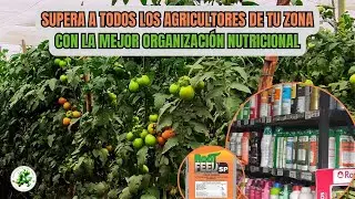 SUPERA A todos los agricultores de tu zona con este truco nutricional