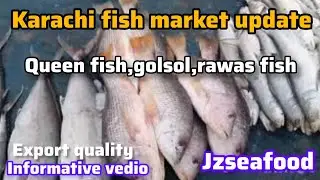 &ldquo;Karachi Fish Market Today | Queen Fish, White Rawas & Golsol Fish Fresh Rates 🔥&rdquo;