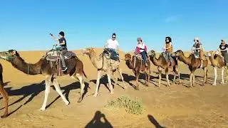 Morocco Treasure Travel
