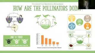 How are pollinators doing?: Pollinator Education Toolkit
