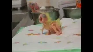 I miei primi 60 giorni!!!
