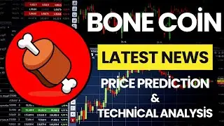 ShibaSwap BONE Price Now! - BONE Coin Technical Analysis Price Prediction Latest News Today!