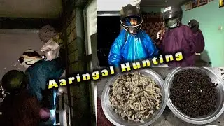 Aaringal Hunting In Pokhara | Red Hornet Hunting  |