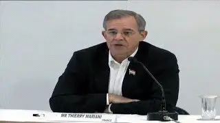 EU MPs: Don't Want Kashmir To Be Another Afghanistan