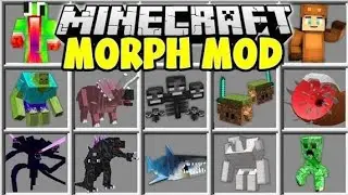 Morph mod minecraft pe 1.21.101 । Addon morph mcpe 1.21