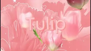 HENREEE - Tulip (ทิวลิป) feat. PERX [Official Lyrics Video]