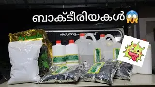 മിത്ര ബാക്ടീരിയകൾ, അറിയേണ്ടത് എല്ലാം