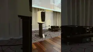 Dynaudio Confidence 20a, Circle Audio #audioshow #audiophiletest #sound