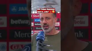 VfB-Trainer Matarazzo fand es &bdquo;kaka&ldquo; 💩😂