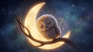 Baby Sleep Music 🦉 Twinkle Twinkle Little Star Lullaby ⭐️ Put Baby to Sleep (4K Cute Owl)