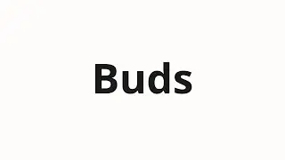 How to pronounce Buds